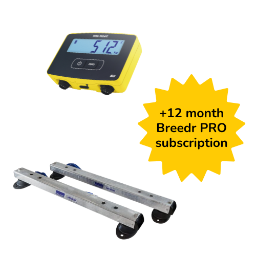 Bundle - Start Weighing