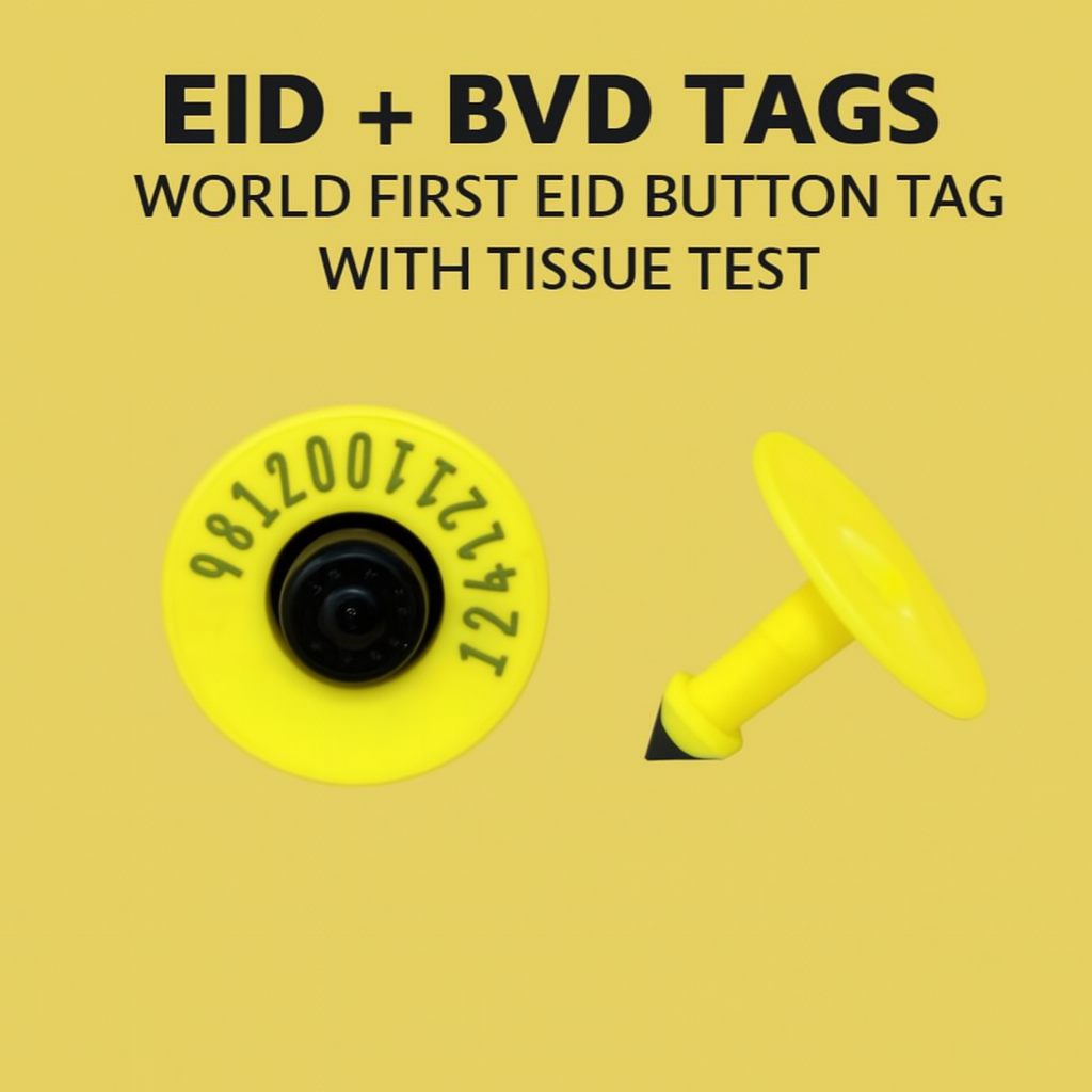EID + BVD Button Tag