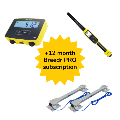 Bundle - Pro